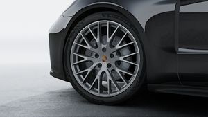 Panamera 隽永版的外观图片